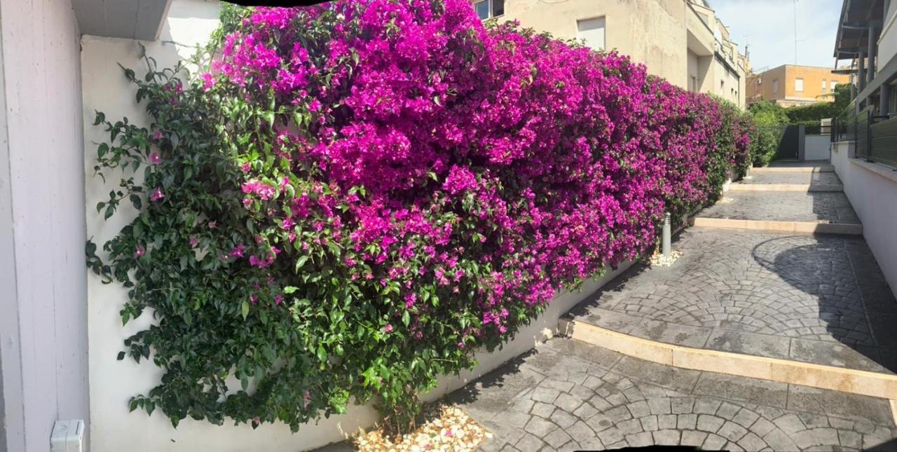 The Shabby House - Charming Seaside Retreat In Central Anzio, Steps From Beach And Train Station Eksteriør bilde