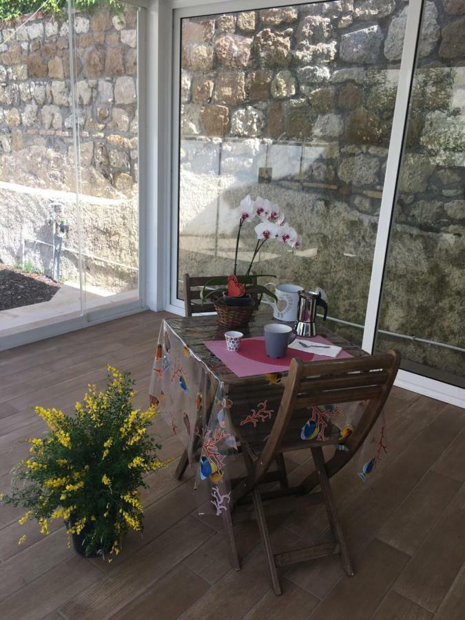 The Shabby House - Charming Seaside Retreat In Central Anzio, Steps From Beach And Train Station Eksteriør bilde
