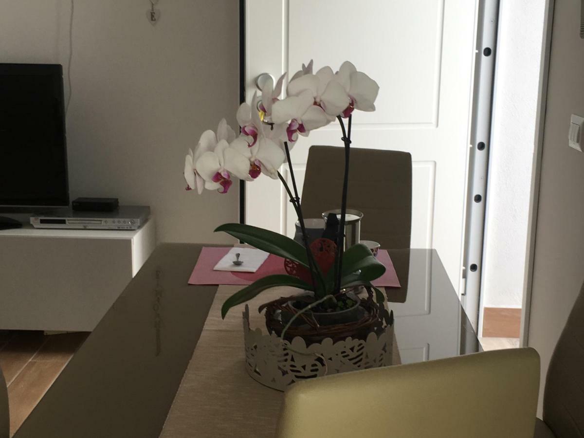 The Shabby House - Charming Seaside Retreat In Central Anzio, Steps From Beach And Train Station Eksteriør bilde